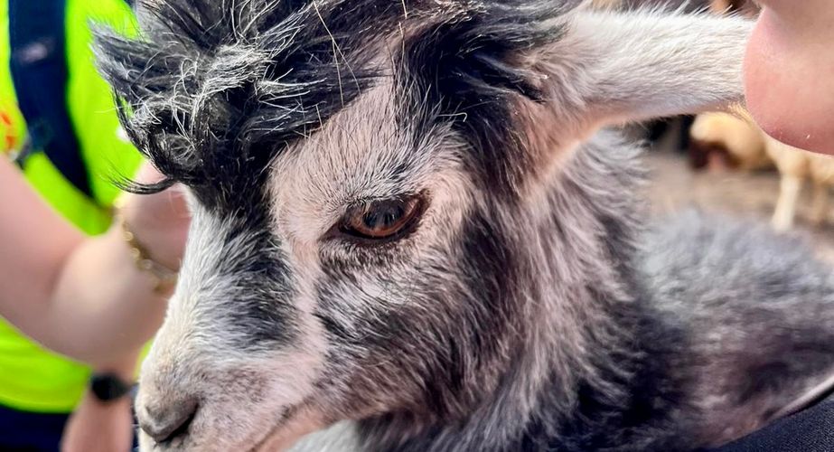 WhatsApp Image 2022 10 25 at 11 WhatsApp Image 2022 10 25 at 11